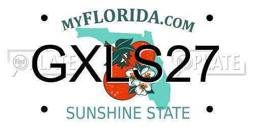 GXLS27 Florida License Plate