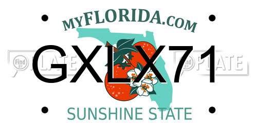 GXLX71 Florida License Plate
