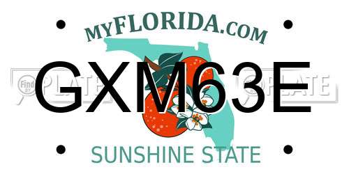 GXM63E Florida License Plate
