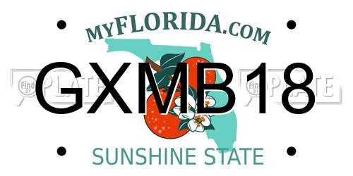 GXMB18 Florida License Plate