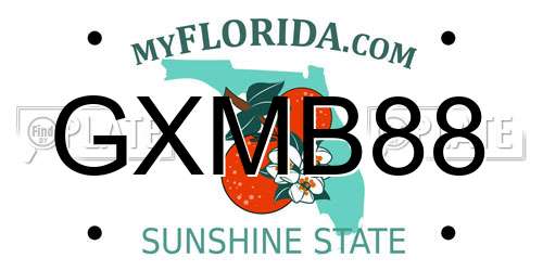GXMB88 Florida License Plate