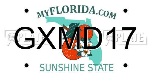 GXMD17 Florida License Plate