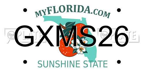 GXMS26 Florida License Plate