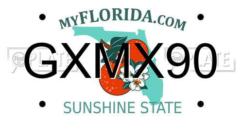 GXMX90 Florida License Plate