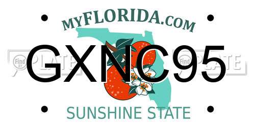 GXNC95 Florida License Plate