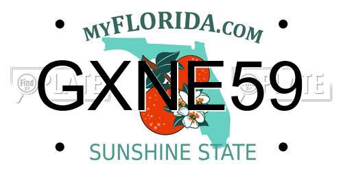 GXNE59 Florida License Plate