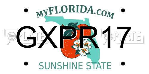 GXPR17 Florida License Plate
