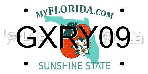 GXRY09 Florida License Plate