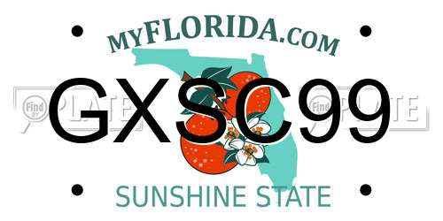 GXSC99 Florida License Plate