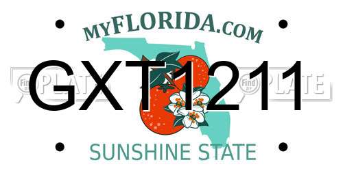 GXT1211 Florida License Plate