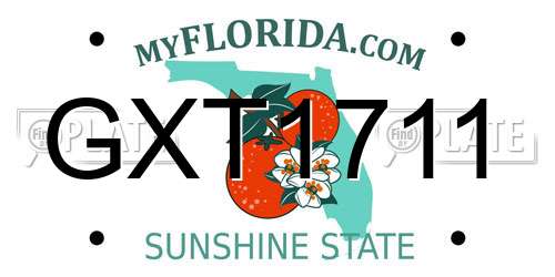 GXT1711 Florida License Plate