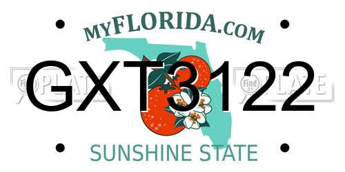 GXT3122 Florida License Plate