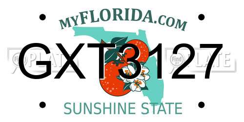 GXT3127 Florida License Plate