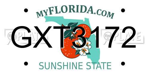 GXT3172 Florida License Plate