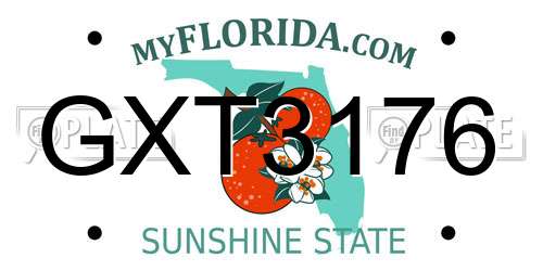GXT3176 Florida License Plate