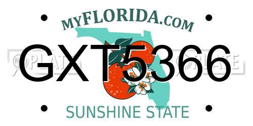 GXT5366 Florida License Plate