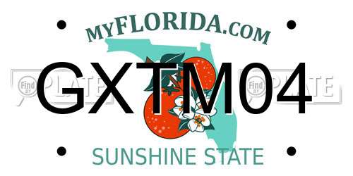 GXTM04 Florida License Plate