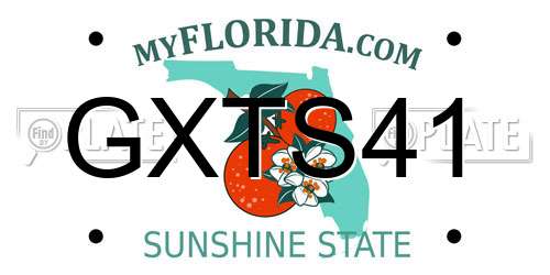 GXTS41 Florida License Plate
