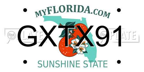 GXTX91 Florida License Plate