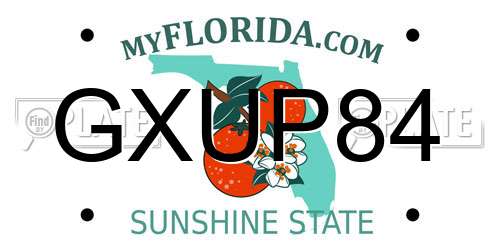 GXUP84 Florida License Plate