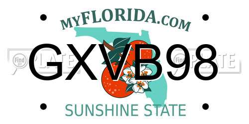 GXVB98 Florida License Plate