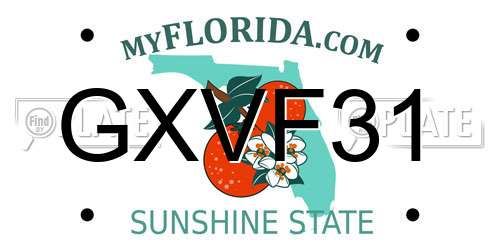 GXVF31 Florida License Plate