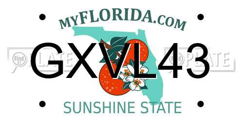 GXVL43 Florida License Plate