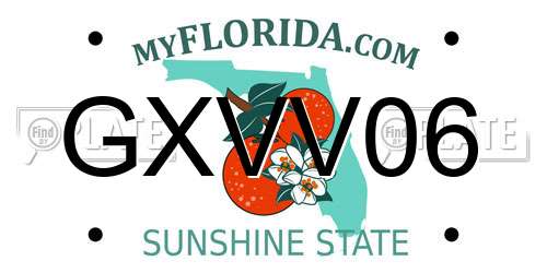 GXVV06 Florida License Plate