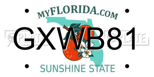 GXWB81 Florida License Plate