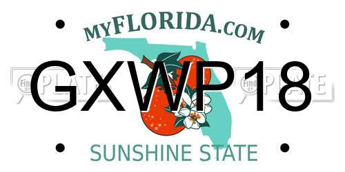GXWP18 Florida License Plate