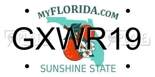 GXWR19 Florida License Plate