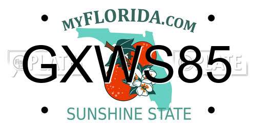 GXWS85 Florida License Plate