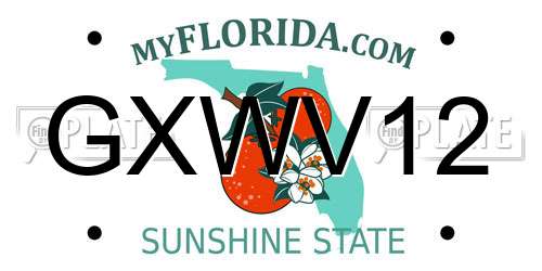 GXWV12 Florida License Plate