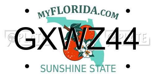 GXWZ44 Florida License Plate