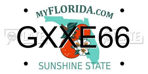 GXXE66 Florida License Plate