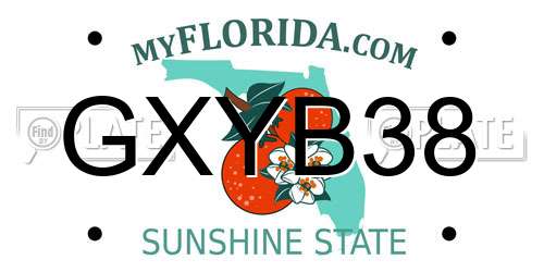 GXYB38 Florida License Plate