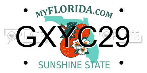GXYC29 Florida License Plate