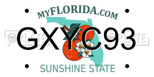 GXYC93 Florida License Plate