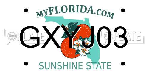 GXYJ03 Florida License Plate