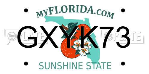 GXYK73 Florida License Plate