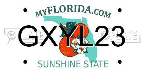 GXYL23 Florida License Plate