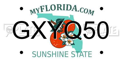 GXYQ50 Florida License Plate