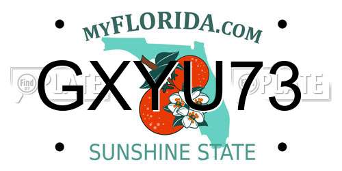 GXYU73 Florida License Plate