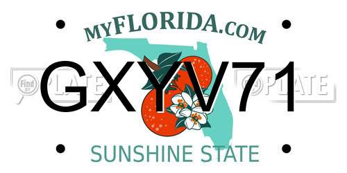 GXYV71 Florida License Plate