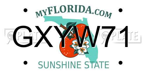 GXYW71 Florida License Plate
