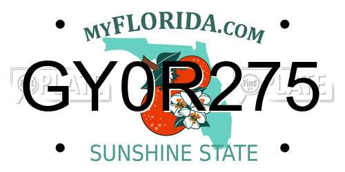GY0R275 Florida License Plate