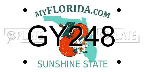 GY248 Florida License Plate