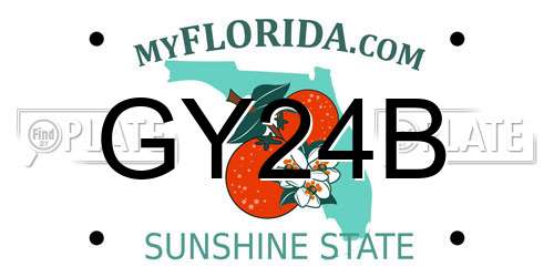 GY24B Florida License Plate
