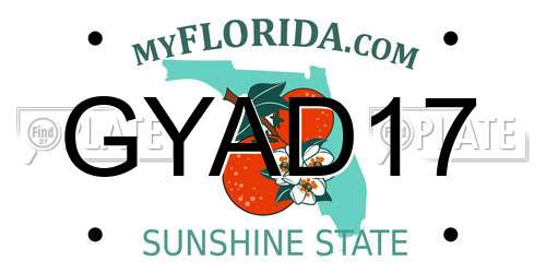 GYAD17 Florida License Plate