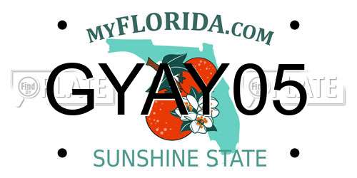 GYAY05 Florida License Plate